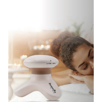 LLM09 Lifelong Mini Head and Body Massager (Brown)